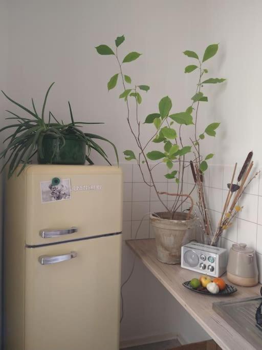 Ben Laurel Apartment Berlin